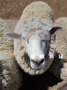 法院书记员培训动员会 法院书记员培训动员会