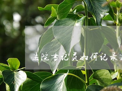 法院书记员如何记录案件 法院书记员如何记录案件