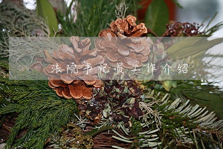 法院书记员工作介绍 法院书记员工作介绍