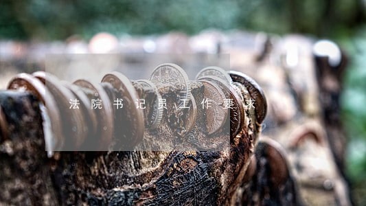 法院书记员工作要求 法院书记员工作要求