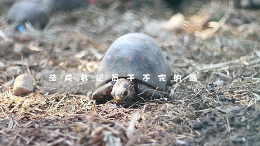 法院书记员干不完的活 法院书记员干不完的活