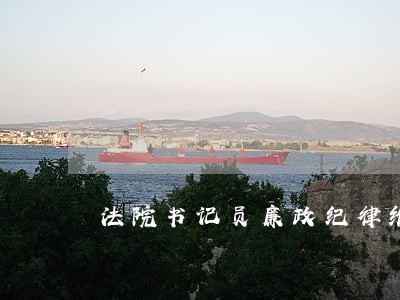 法院书记员廉政纪律维护总结
