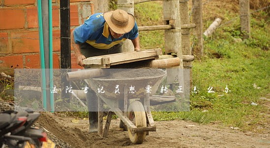 法院书记员想要转正怎么办 法院书记员想要转正怎么办