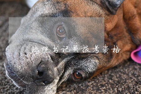 法院书记员报考资格 法院书记员报考资格