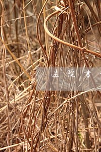 法院书记员文书校对 法院书记员文书校对