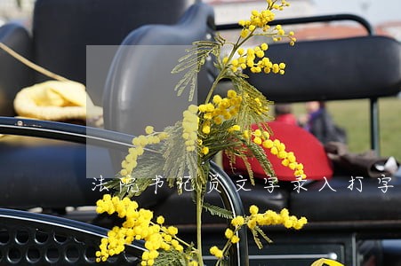 法院书记员文字录入打字考试评分 法院书记员文字录入打字考试评分