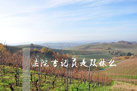 法院书记员是双休么