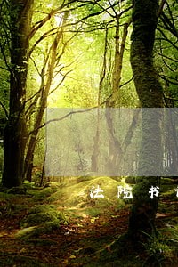 法院书记员最新规定