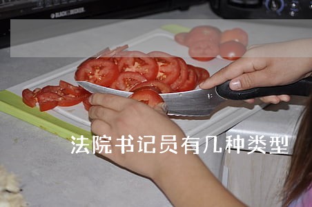 法院书记员有几种类型