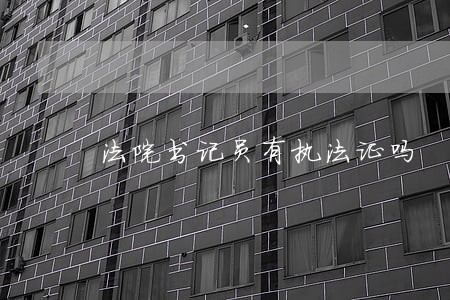 法院书记员有执法证吗