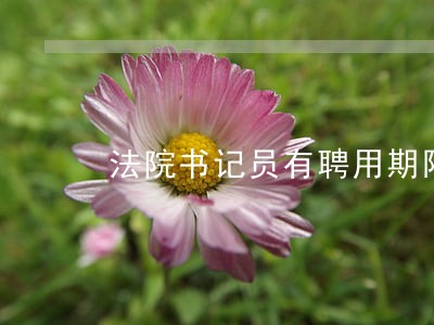 法院书记员有聘用期限吗
