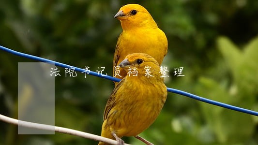 法院书记员档案整理 法院书记员档案整理