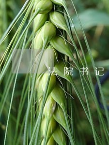 法院书记员法律条文 法院书记员法律条文