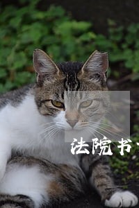 法院书记员的职务 法院书记员的职务