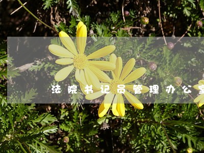 法院书记员管理办公室