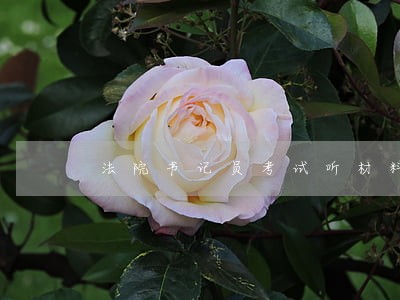 法院书记员考试听材料 法院书记员考试听材料