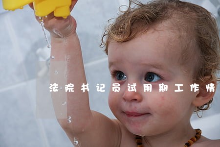 法院书记员试用期工作情况 法院书记员试用期工作情况