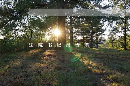 法院书记员贵港 法院书记员贵港