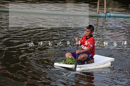 法院书记员辞职不能当律师吗