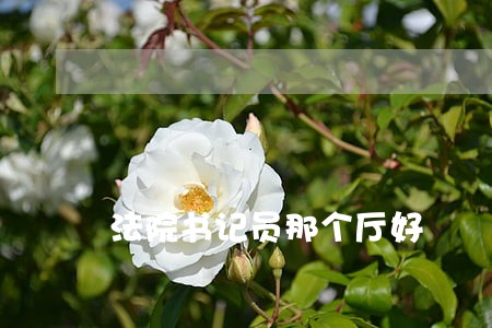 法院书记员那个厅好 法院书记员那个厅好