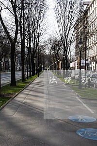 法院书记员青春
