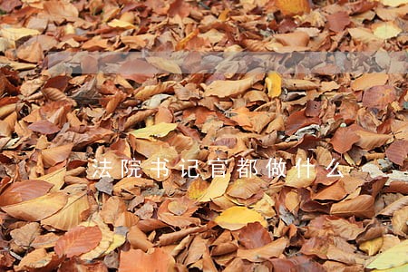 法院书记官都做什么 法院书记官都做什么