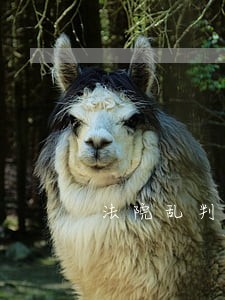 法院乱判怎么举报