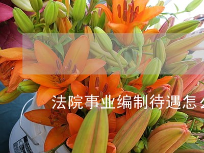 法院事业编制待遇怎么样 法院事业编制待遇怎么样