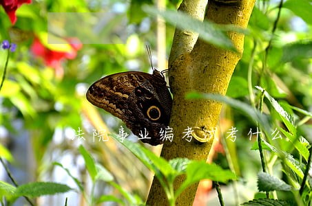 法院事业编考试考什么 法院事业编考试考什么