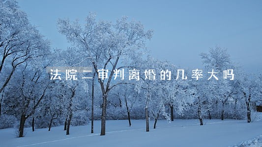 法院二审判离婚的几率大吗 法院二审判离婚的几率大吗