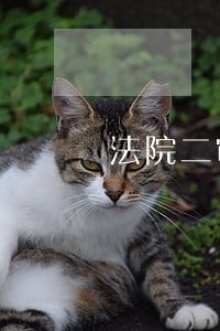 法院二审后到底能不能够申诉呢 法院二审后到底能不能够申诉呢
