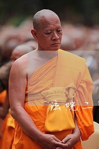 法院二审都需要什么费用 法院二审都需要什么费用