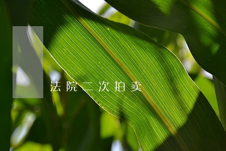 法院二次拍卖 法院二次拍卖