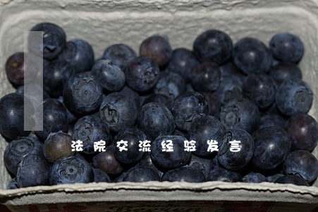 法院交流经验发言 法院交流经验发言