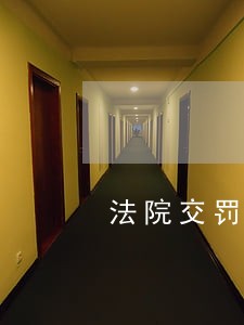 法院交罚款5000元 法院交罚款5000元