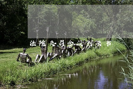法院交罚金没判决书 法院交罚金没判决书