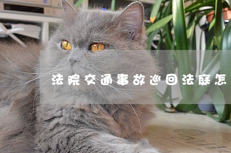 法院交通事故巡回法庭怎么打官司 法院交通事故巡回法庭怎么打官司