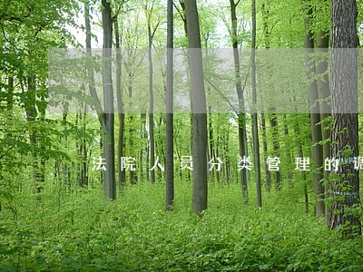法院人员分类管理的调研