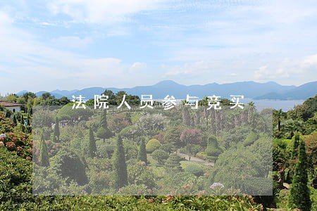 法院人员参与竞买