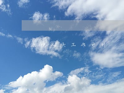 法院人大工作计划 法院人大工作计划