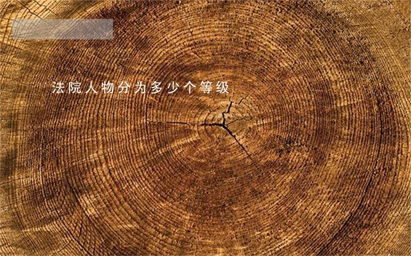 法院人物分为多少个等级 法院人物分为多少个等级