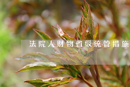 法院人财物省级统管措施