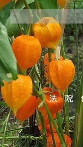 法院什么情况下会冻结账户 法院什么情况下会冻结账户