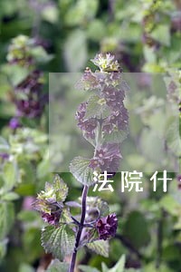 法院什么情况下会冻结银行帐户