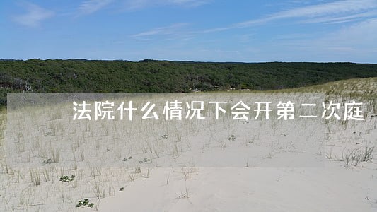 法院什么情况下会开第二次庭 法院什么情况下会开第二次庭