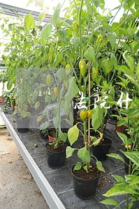 法院什么时候开始清案 法院什么时候开始清案