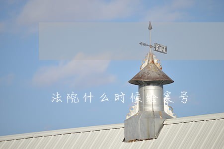法院什么时候给案号