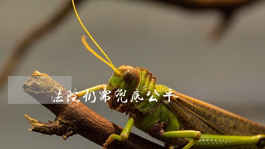 法院仍需兜底公平 法院仍需兜底公平