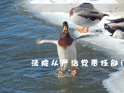 法院从严治党责任部门 法院从严治党责任部门