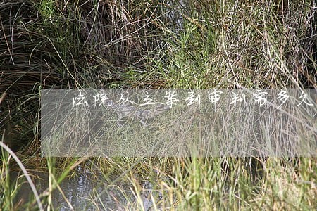 法院从立案到审判需多久 法院从立案到审判需多久